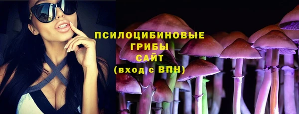 сатива Дмитров