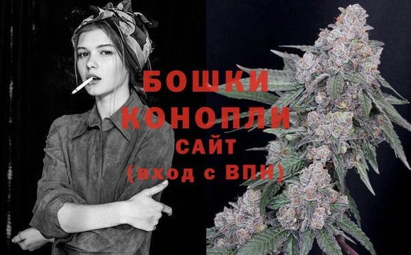 кокс Дмитриев