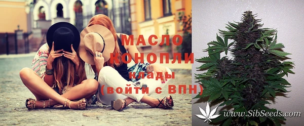 кокс Дмитриев