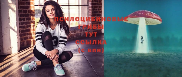 сатива Дмитров