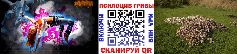 Купить где  Карабулак  Псилоцибиновые грибы MAGIC MUSHROOMS 