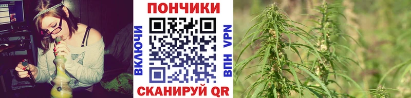 Купить закладки  Карабулак  Бошки марихуана индика 